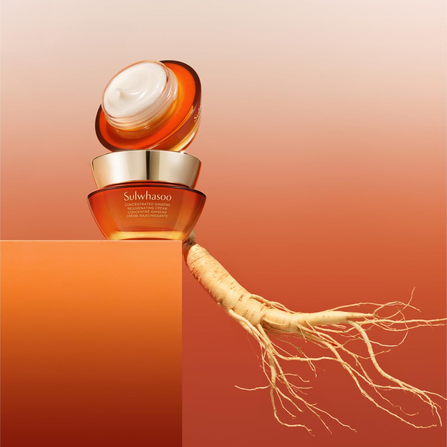 Sulwhasoo Concentrated Ginseng Rejuvenating Cream